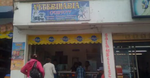 VETERINARIA QUIRON BOGOTÁ VETERINARIA QUIRON BOGOTÁ